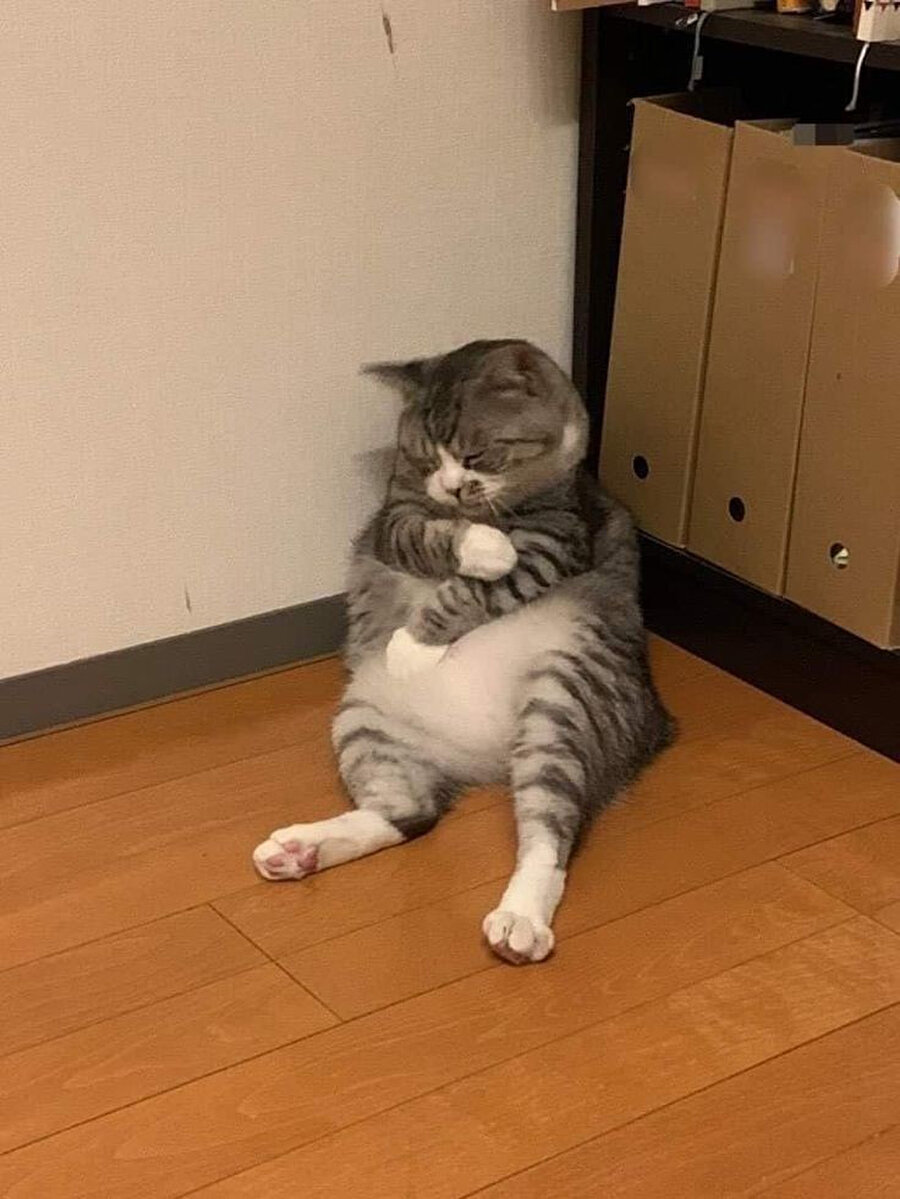 Dirseğimi hafifçe masaya çarpmışımdır