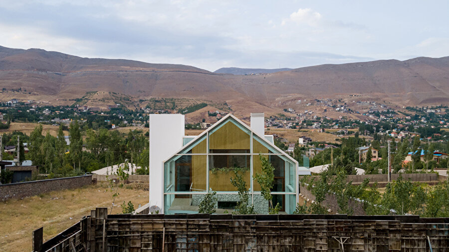 Mariya Kozhevnikovaning yalangoch mushuki