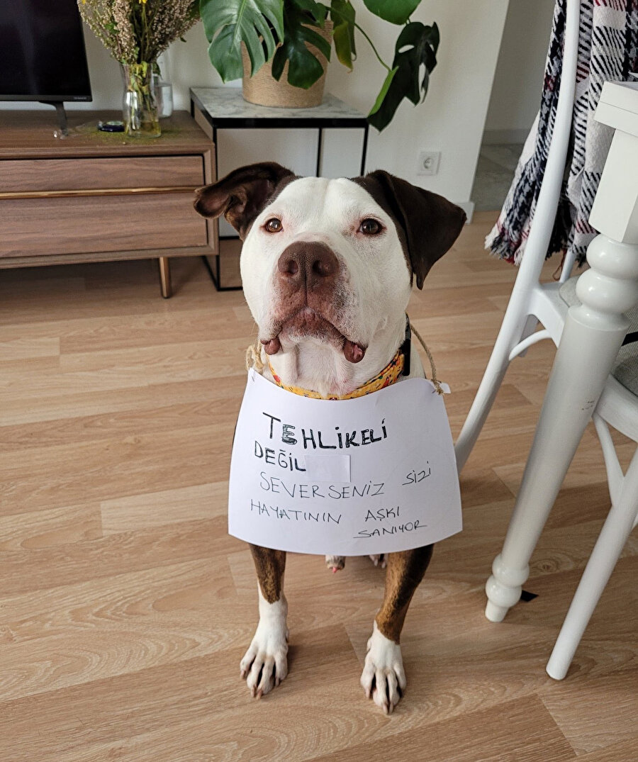 2 gün trip attığım kankamın yanına gidince uyguladığım muamele