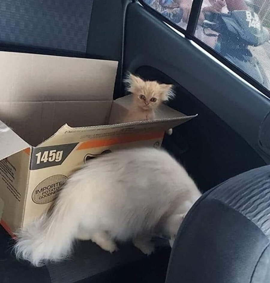 ​Gün içinde yarım saat uyuyup uyanmışımdır