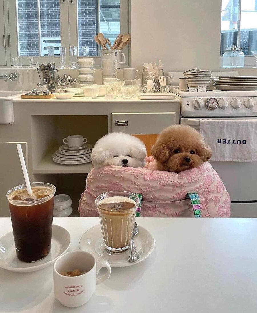 Hafta sonu planım ektedir