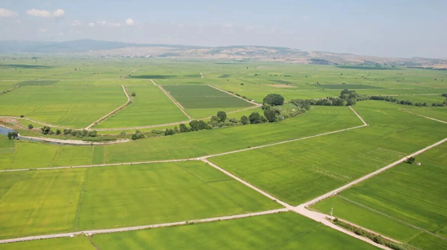 Arşiv