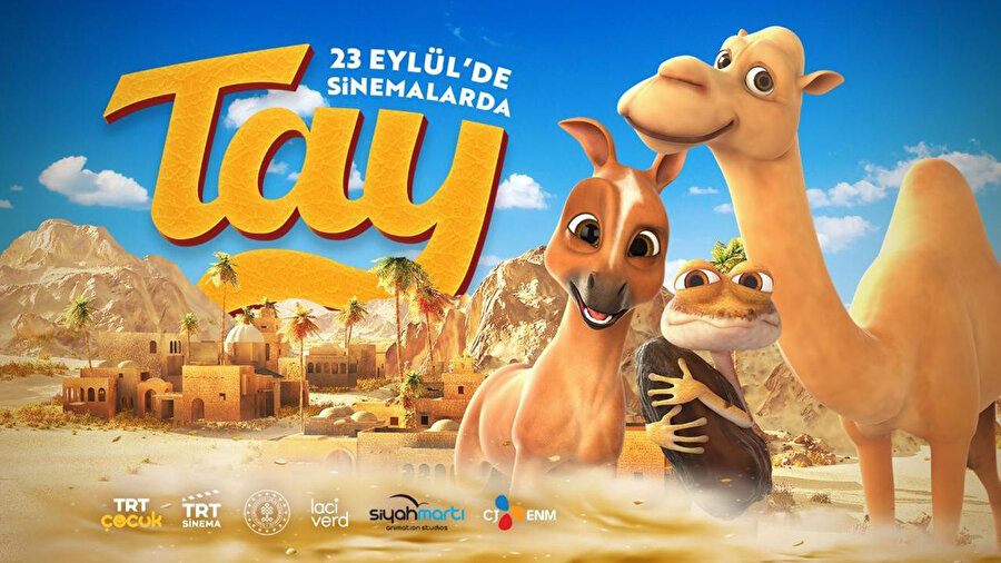 Tay filmi