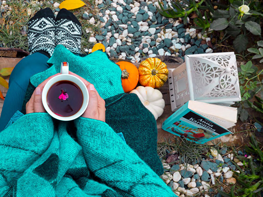 İlkbaharın en sevileni, çiçeklerdir kuşkusuz. Yapraklarını gıdıklayan güneş ışınları sayesinde hızlıca büyüyerek açarlar.