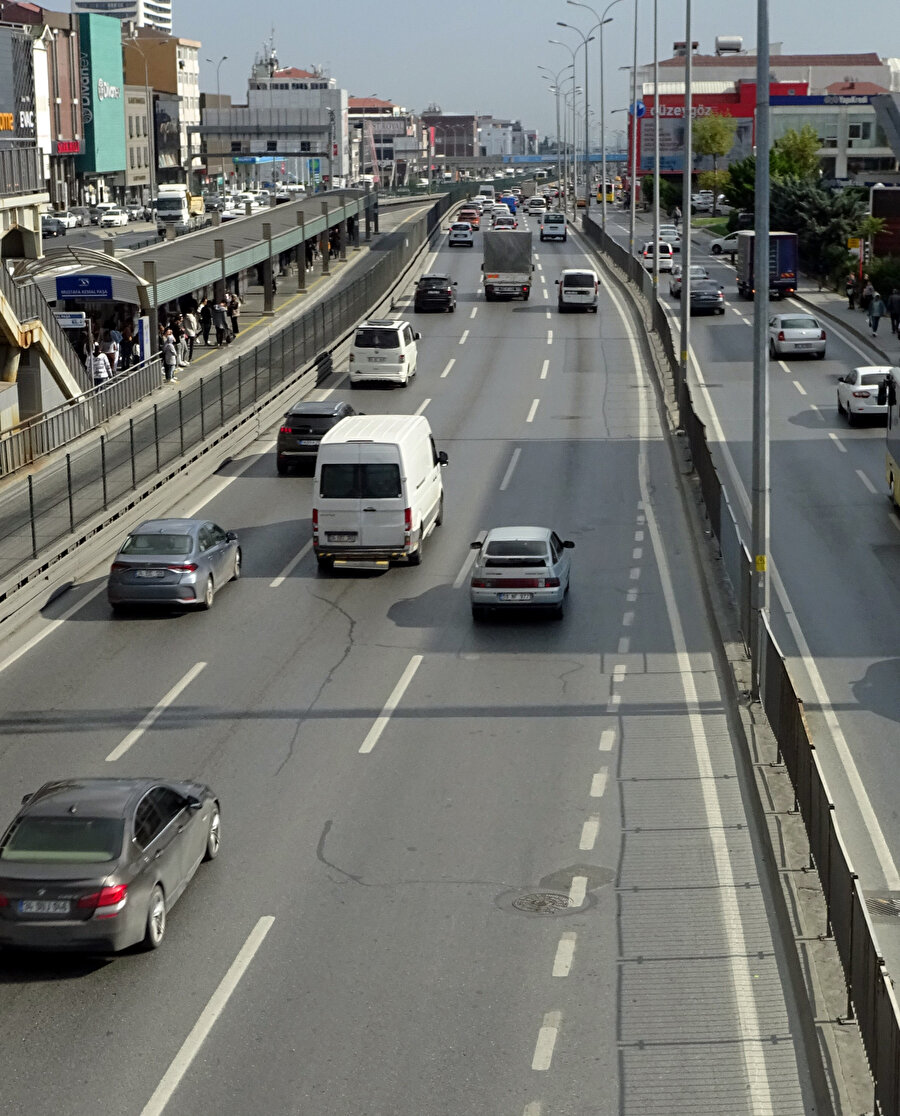 Avcılar trafiği durdurup kediyi ezilmekten kurtardı