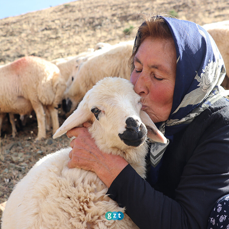 'Islah ettiği' kuzularıyla üretimi ve hayvan sayısını artırdı