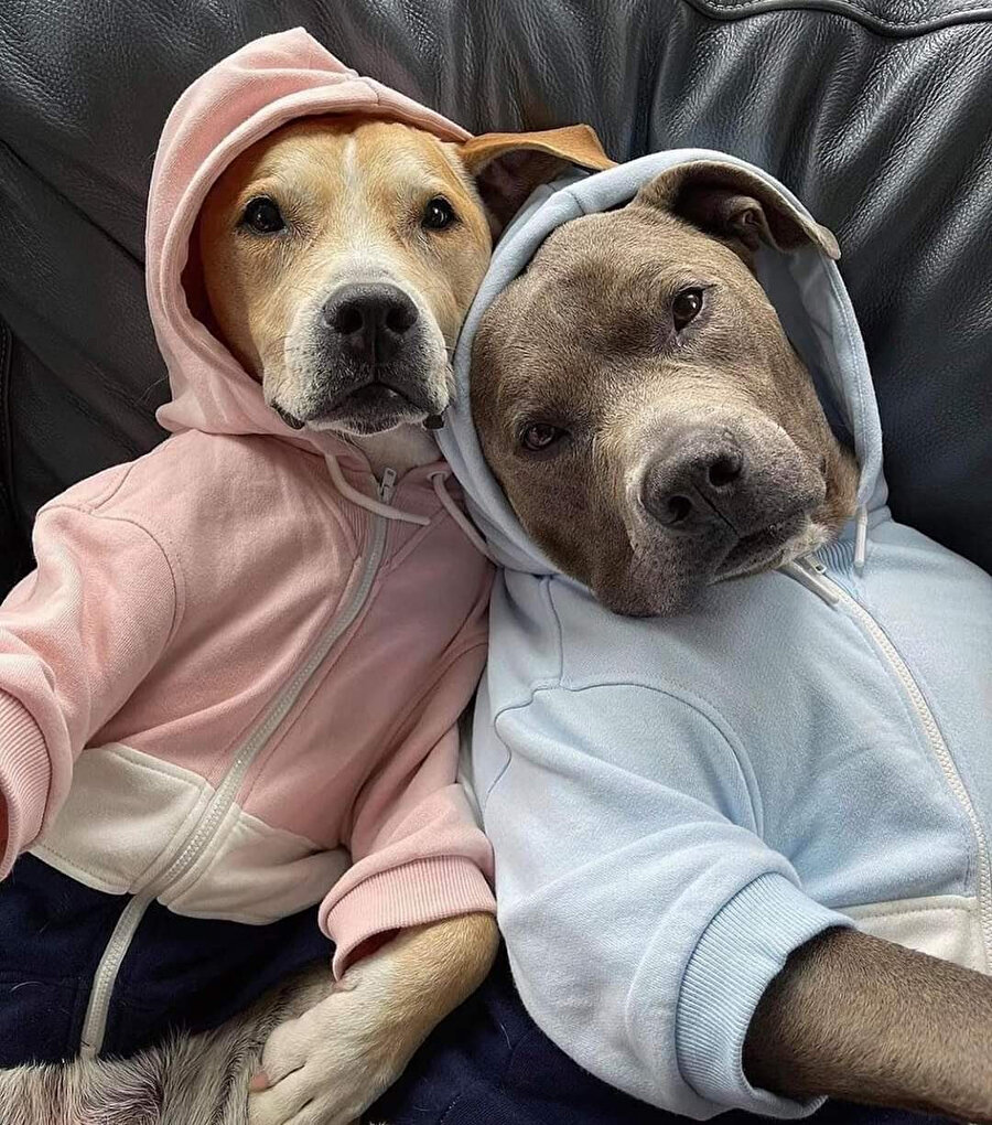 Kanka annenden izin al bizde kalalım