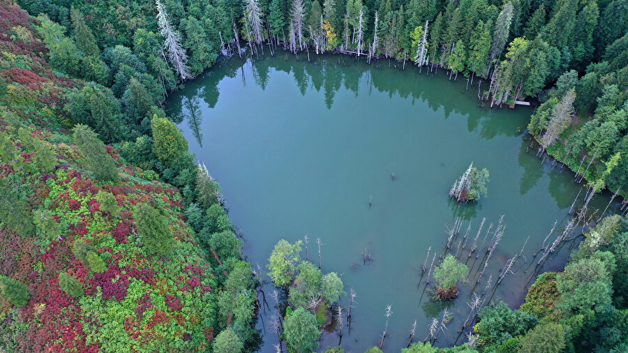 Borçka Karagöl Tabiat Parkı 9 ayda yaklaşık 410 bin kişiyi ağırladı.