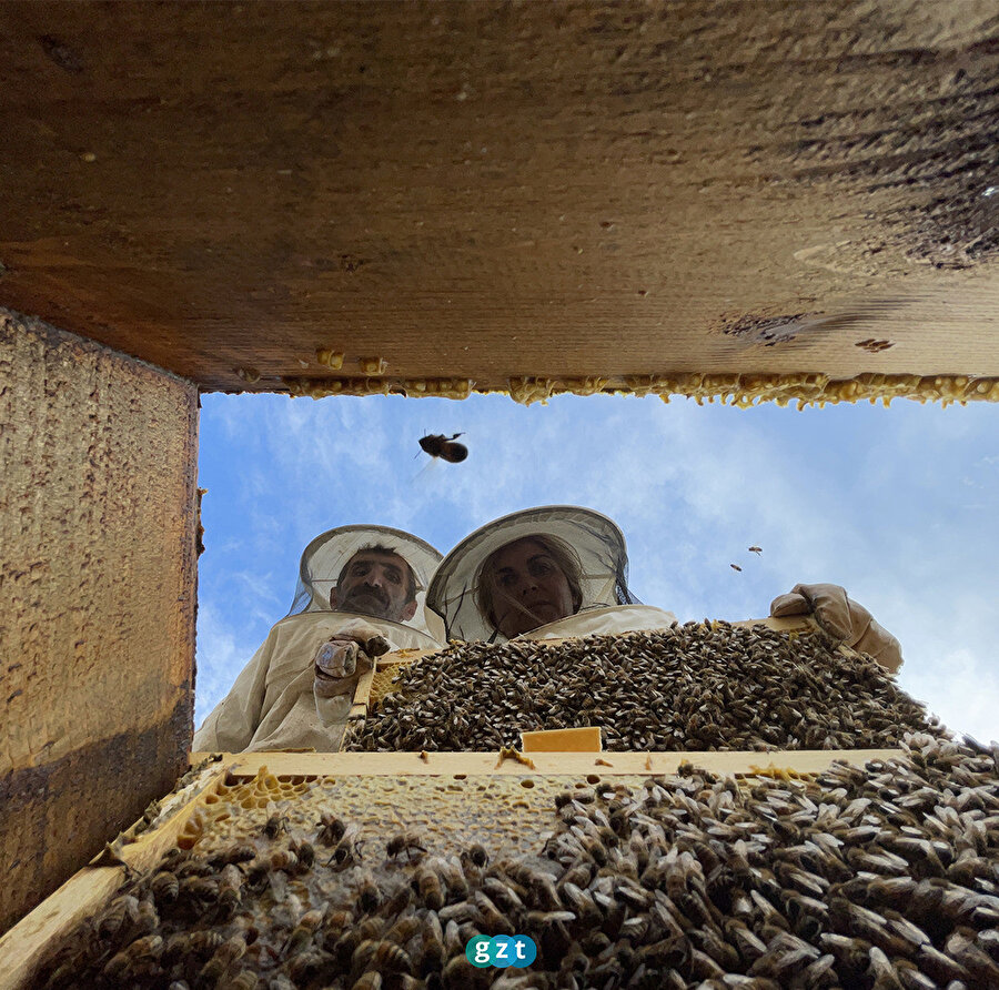 Arıcı çift, ürettiği tescilli balı gurbetçiler aracılığıyla 3 ülkeye gönderiyor