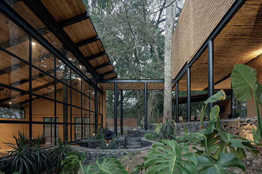 Evin planı mevcut avokado ağaçlarının etrafında şekilleniyor.