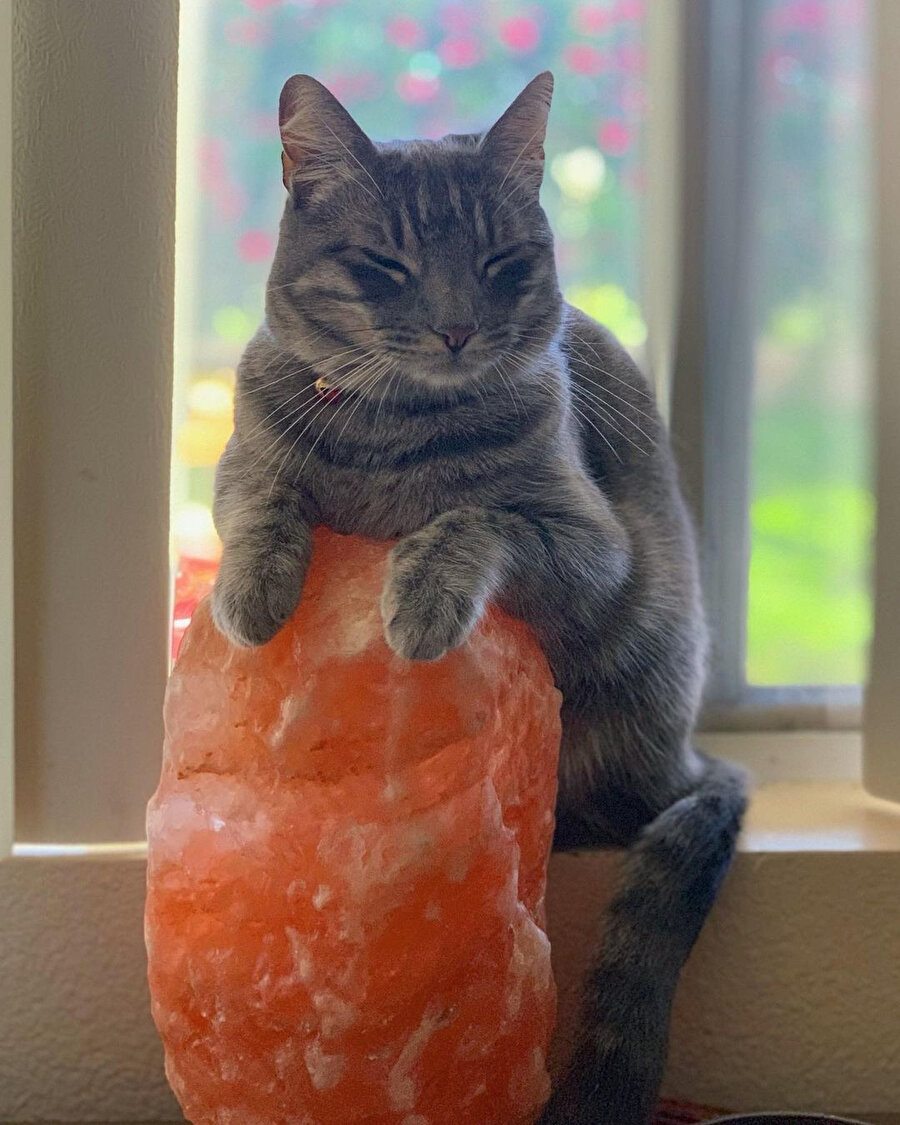 ​Sakinleşmek için ihtiyacım olan kristal miktarı