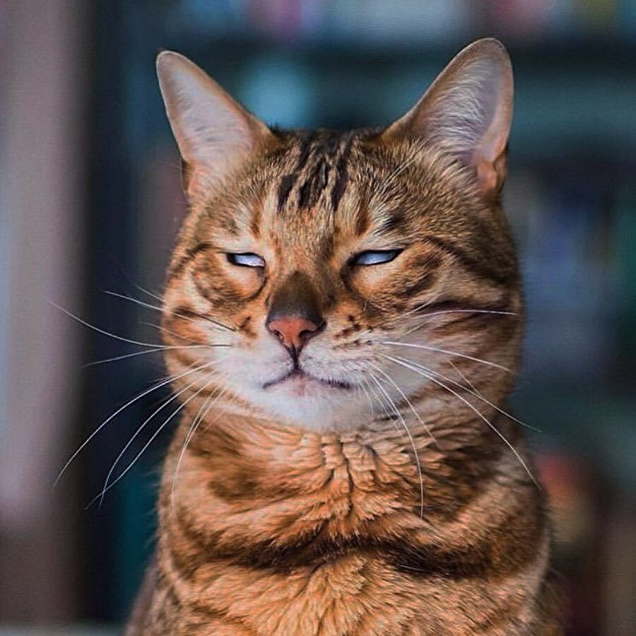 Saçlarım ıslakken ensemden aşağı su damlamıştır