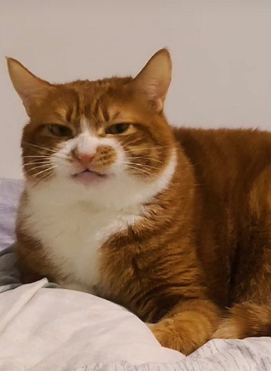 Şekerli parfüm kokmuştur