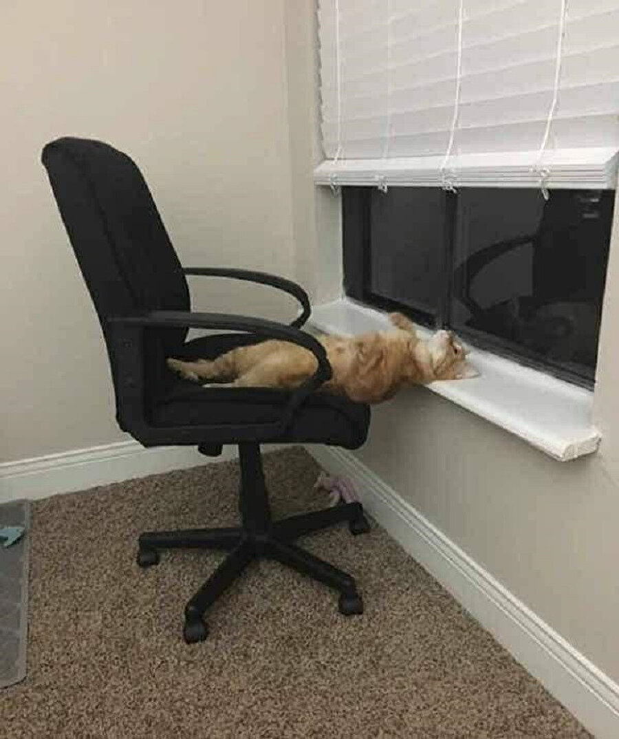 Mesai sonu benim beyin hücreleri