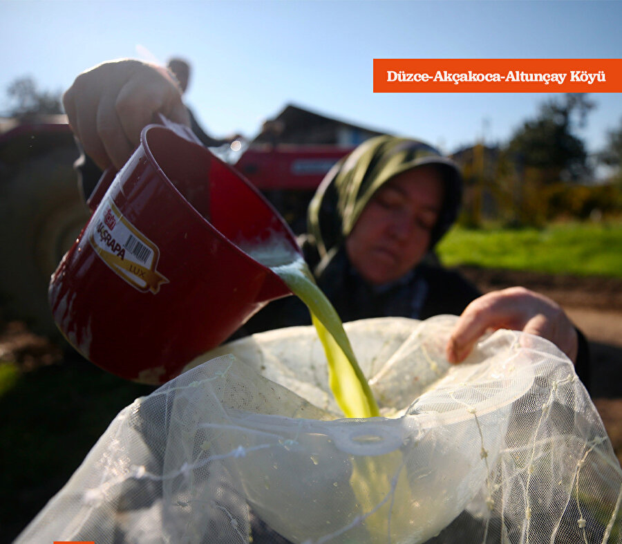 150 yıllık mengenede sıkılan şeker kamışlarının pekmez yolculuğu