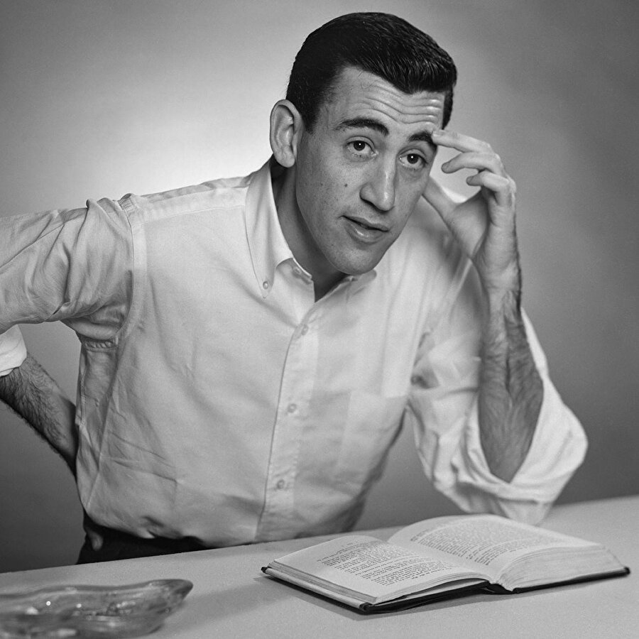 J. D. Salinger’in Çavdar Tarlasında Çocuklar ve William Golding’in Lord of the Flies (Sineklerin Efendisi) adlı romanları yetişkinler için yazılmış olmasına rağmen genç okuyucuların ilgisini çekmeyi başarır.