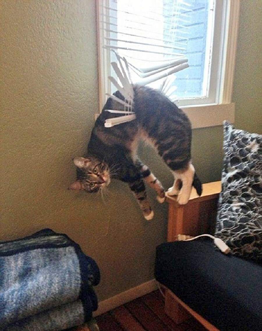 ​Sakın bir şey sorma