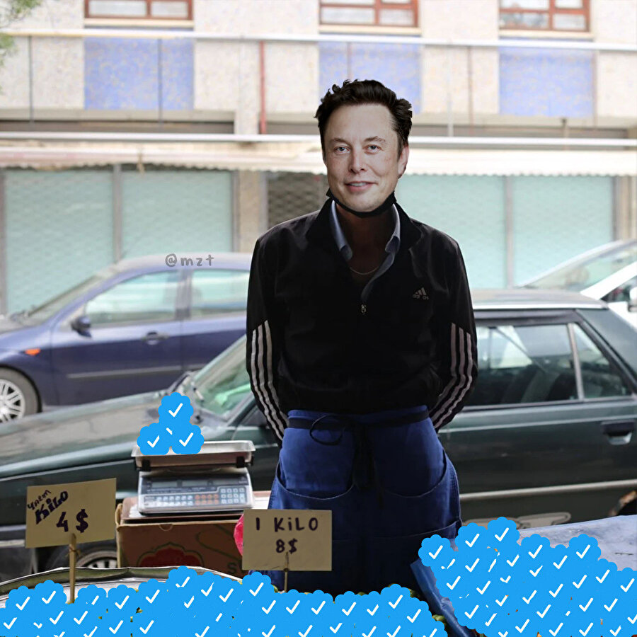 Twitter'ın bitki örtüsü