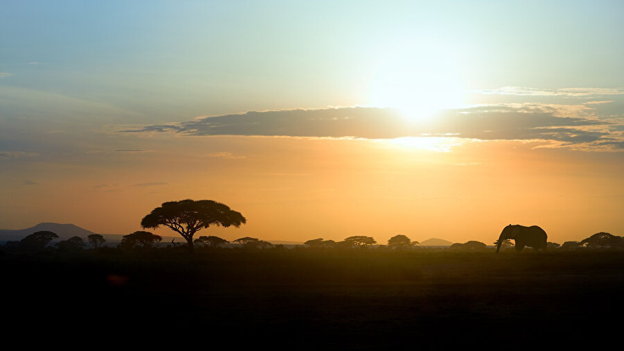 Serengeti ve Kilimanjaro.