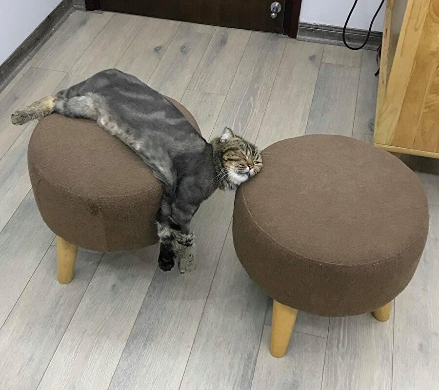 ​Daha rahat uyku şekli var mı sanmam