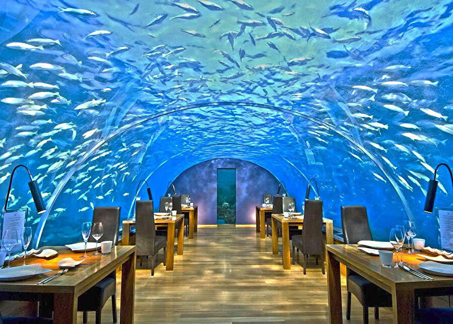 Ithaa Undersea - Maldivler