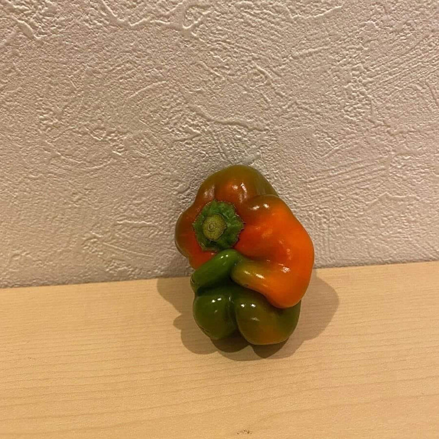 ​Dolmak zorunda değilim