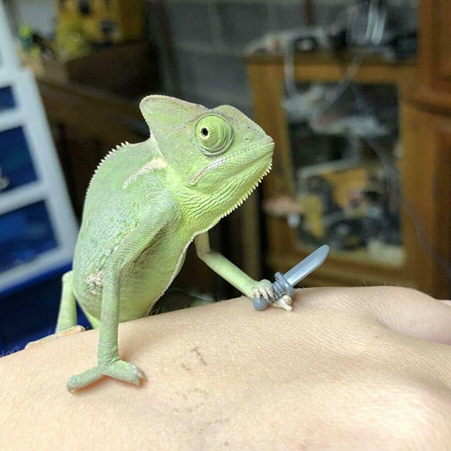 ​Mesai bitiminde revize var diyene tepkim