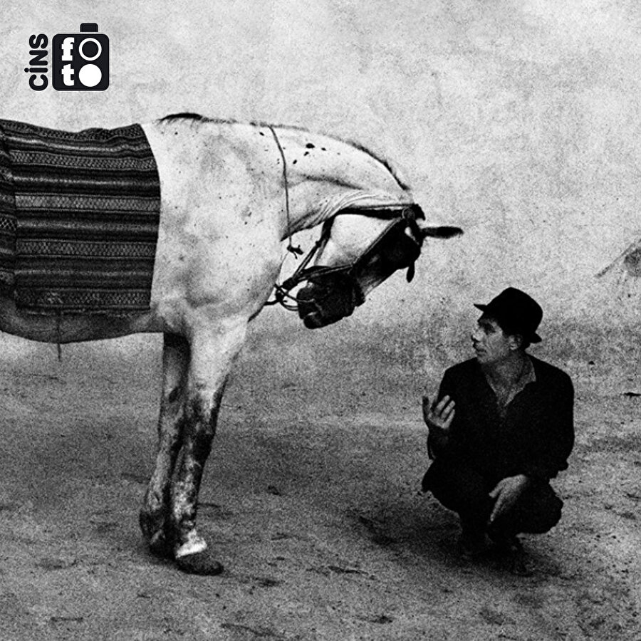 Sevimli mi dostlarımız?