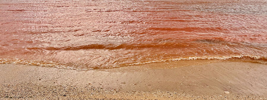 Antalya'da kuvvetli yağış: Kaputaş Plajı'nda deniz kahverengi oldu