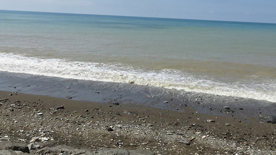 Karadeniz'de 'ağır metal kirliliği' tehlikesi