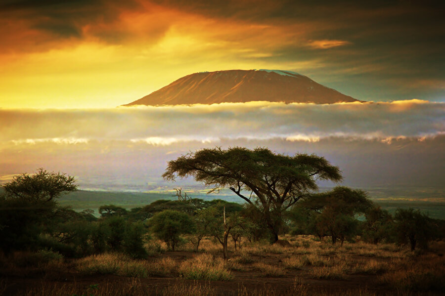 Kilimanjaro Dağı.