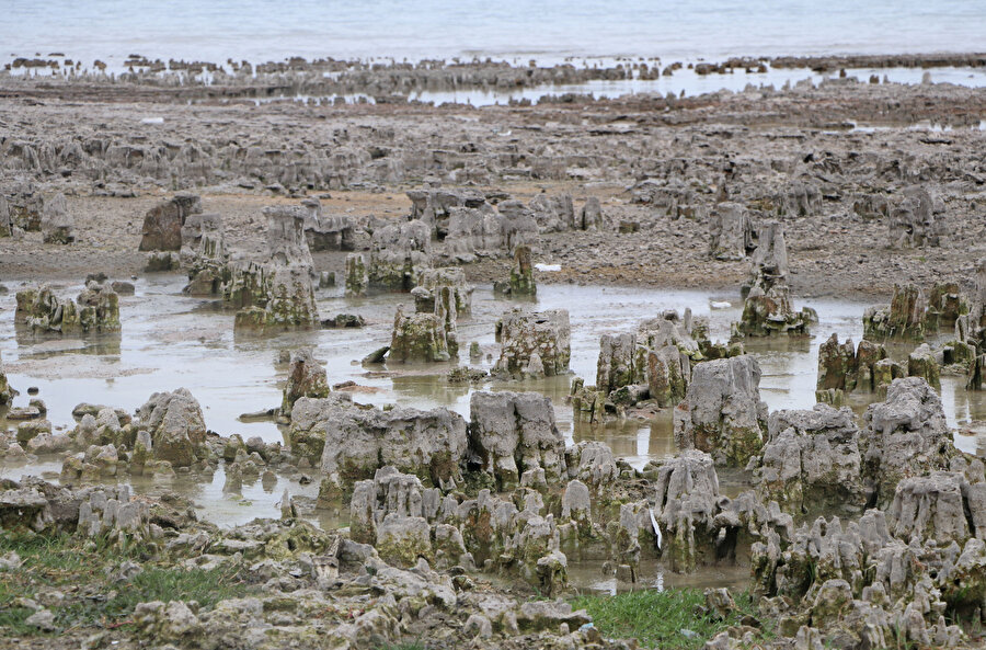 Van Gölü'nün çekilmesiyle ortaya çıktı