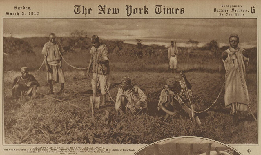 2 Mart 1919 tarihli The New York Times gazetesi: "Almanya'nın Doğu Afrika kolonisindeki zincirlenmiş çetesi. Bu insanlar, silahlı muhafızlar gözetiminde boyunlarından birbirine zincirlenmiş olarak tarlalarda çalışmaya zorlandı. Müttefiklerin bu kolonilerin Almanlara geri verilmesine karşı çıkmalarının nedeni bu muameledir."
