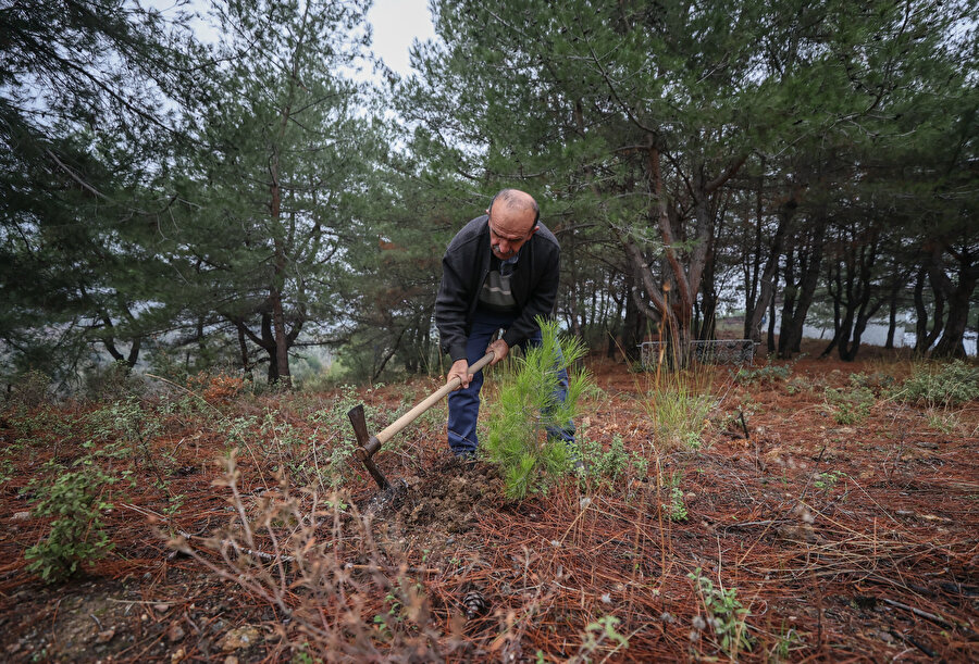 Orman Bölge Müdürlüğü'nden emekli oldu: Fidan dikmeye devam ediyor