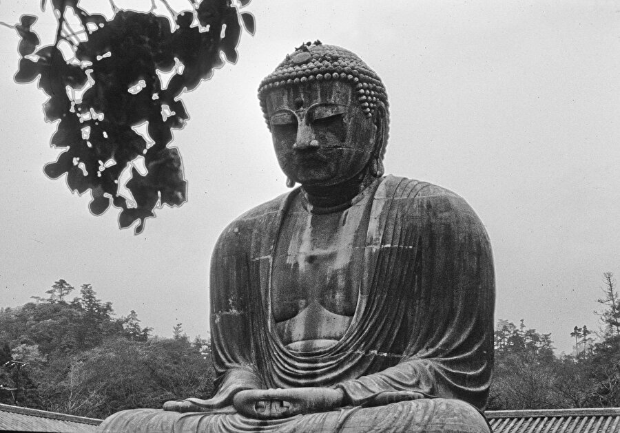 Zen, kökeni Hindistan'daki Dhyana okuluna kadar uzanan bir Mahāyāna Budist okulunun Japoncadaki ismidir. 