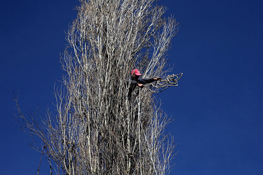 Metrelerce yukarıya tırmanarak ekmek parasını kazanıyor