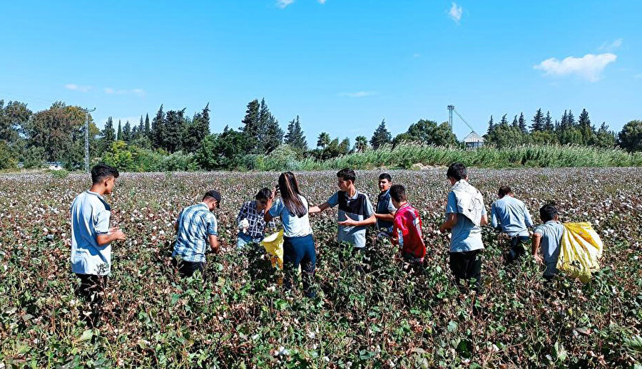 Okul arazisinde yetiştiriyorlar: 400 bin lira gelir elde edildi