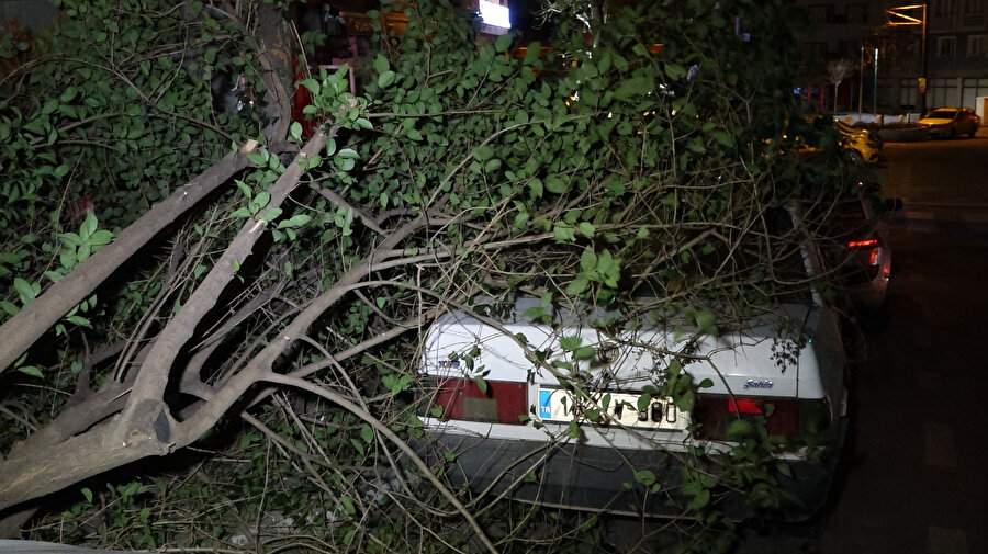 Lodos sebebiyle kırılan ağaç, otomobilin üzerine devrildi