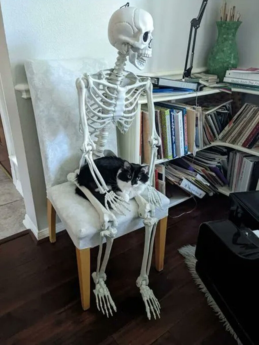 ​Koltuktan kalkmak için en uygun zamanı bekliyorum