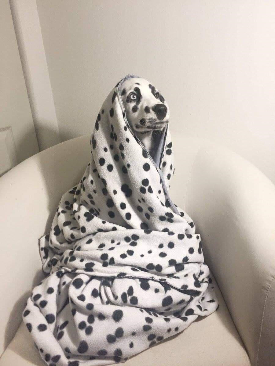 Birinin kalkıp bana su getirmesini bekliyorum