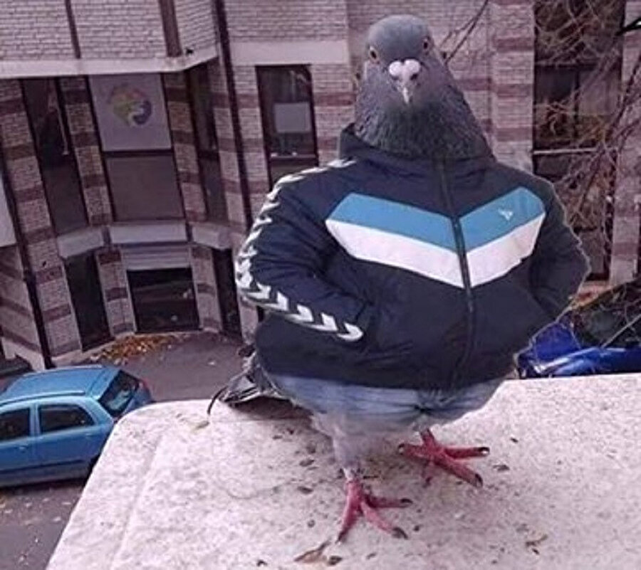 Günaydın yerine &quot;Hayırlı sabahlar birader&quot; dedim