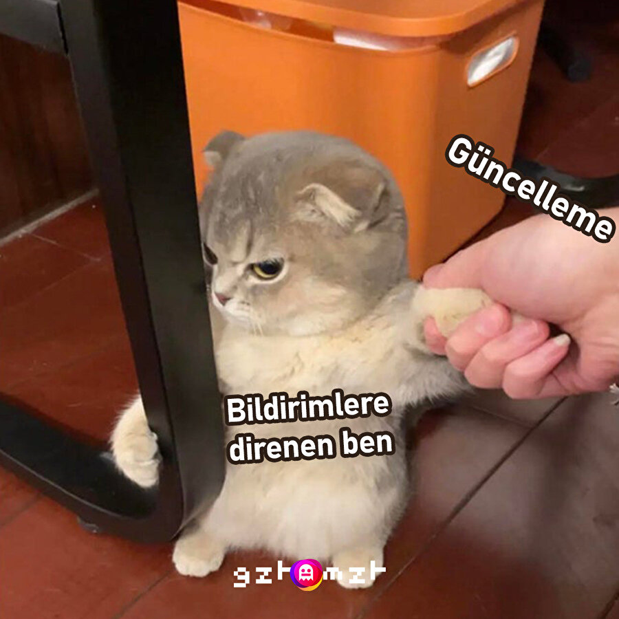 Bugün bundan yaşadık