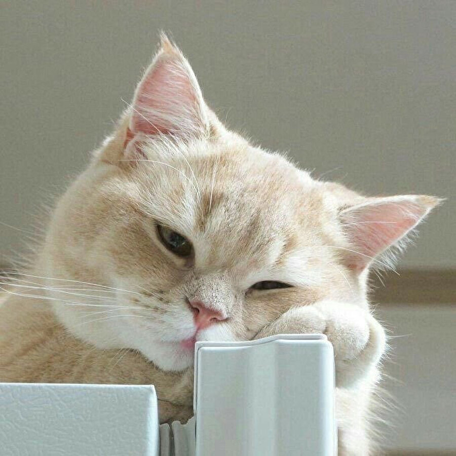 ​Uyanmak istemiyorum ama zorunluluklar