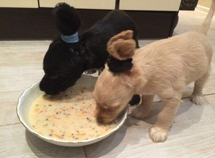 Yemek yerken kızlar