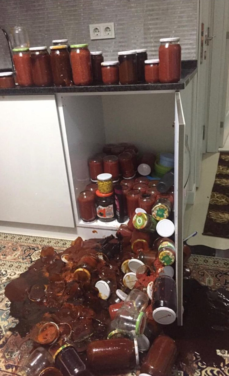 Anne beni atamazsın ben senin kanınım