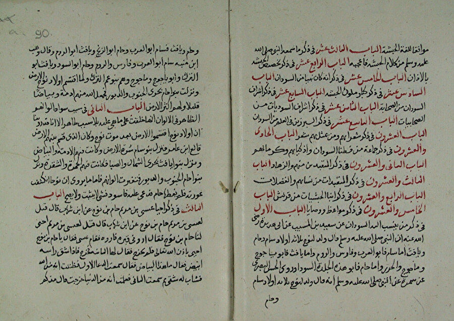 Ebu’l-Ferec İbnü’l-Cevzî’nin Süleymaniye Kütüphanesi Şehid Ali Paşa Koleksiyonu’nda yer alan Tenvîru’l-ğabeş fî fazli’s-sûdân ve’l-habeş isimli eserinden örnek sayfalar.