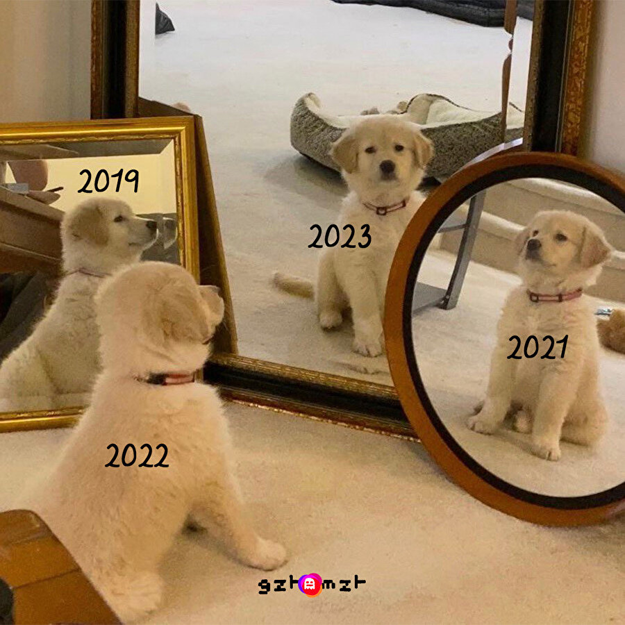 Artık sen de her sene gibisin​