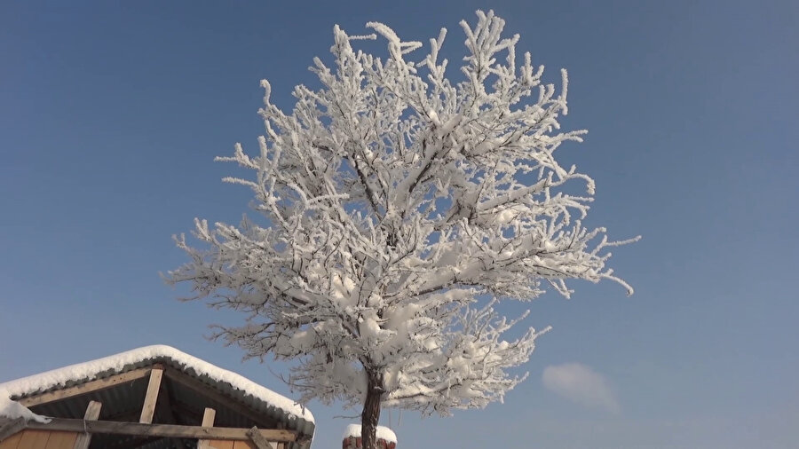 'Türkiye'nin en soğuk yeri', eksi 15 ile Sivas'ta