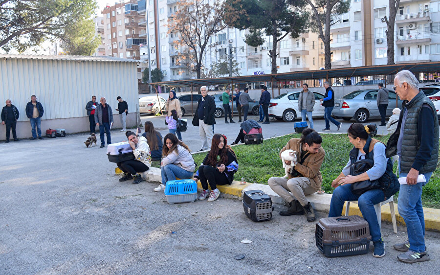 Evcil hayvan sahiplerinin 'çip taktırma’ sırası