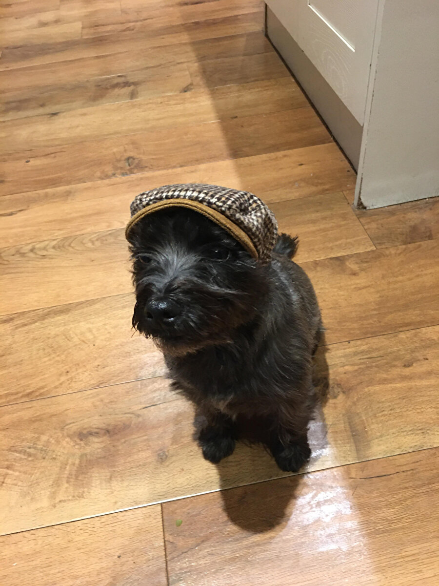 Moruk bugün plan yapmayalım ya